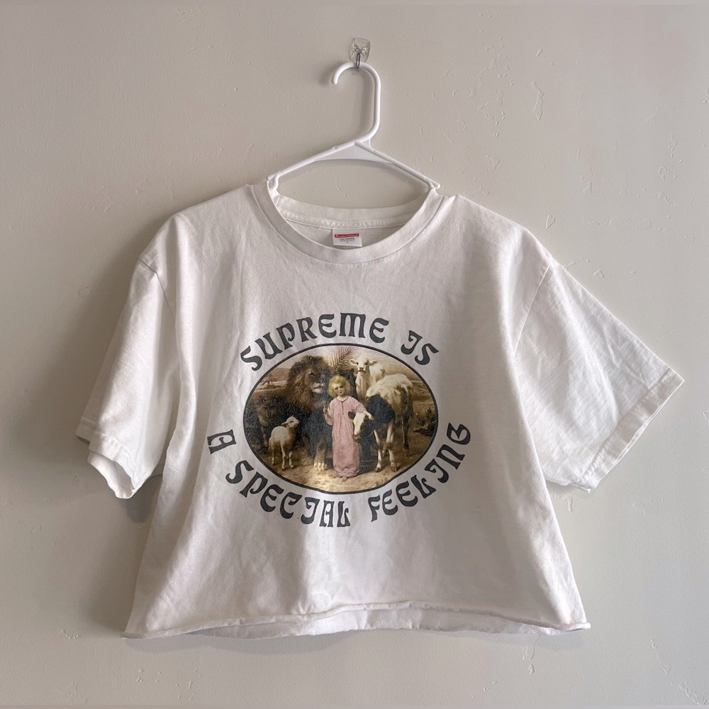 🧃SUPREME RARE CROPPED GRAPHIC TEE🧃